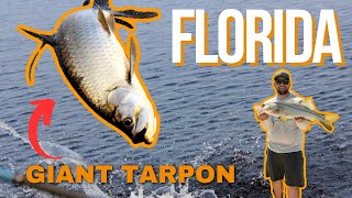 Catching Giant Tarpon  Sanibel Island Florida  The Bearded Buck [upl. by Goddord]