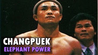 Changpuek Kiatsongrit  Elephant Power ช้างเผือก เกียรติทรงฤทธิ์  Muay ThaiKickboxing Highlights [upl. by Marys]