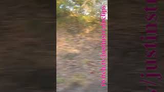 Metro Lilydale To Boxhill 060724 metro shorts shortvideo train travel views [upl. by Ignatzia]