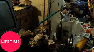 Hoarders Family Secrets Mary Battles a Rat Infestation S7 E8  Lifetime [upl. by Verdie565]