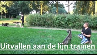 Dog School Uitvallen naar andere honden eruit trainen [upl. by Peter]