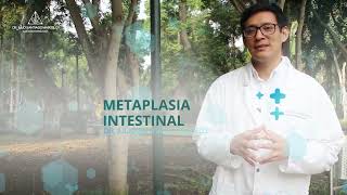 Metaplasia intestinal [upl. by Schilit]