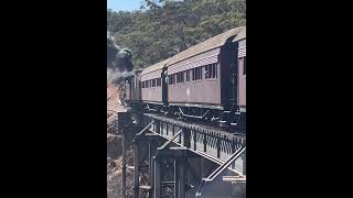 The Pichi Richi Railway steamtrain steamlocomotive [upl. by Luttrell]