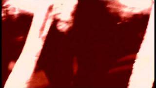 Amon Tobin  Bloodstone Official Video [upl. by Missak]