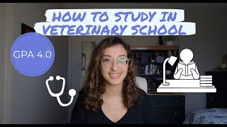 How I got into vet school UK and Australia [upl. by Ashwin]