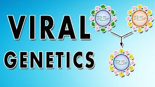 Reassortment Phenotypic mixing Recombination and Complementation [upl. by Brook]