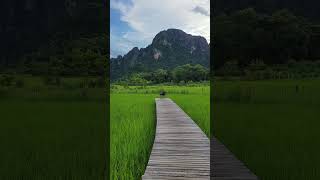 Stunning Vang Vieng laostourism vangvieng travel ricefield [upl. by Romano]