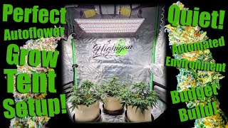 Perfect 2x4 Autoflower Grow Tent Setup Quiet Automated Environment [upl. by Gottwald378]