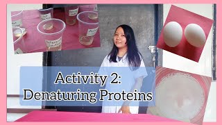 Activity 2 Denaturing Proteins Biochemistry DenaturingProteins [upl. by Bluma]