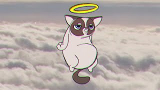 RIP Grumpy Cat [upl. by Ellebyam304]