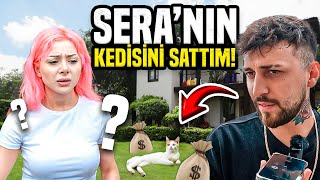 SERANIN KEDİSİNİ SATTIM  Kışkırtma TheSera [upl. by Ajtak]