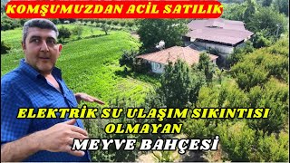 KOMŞUMUZDAN ACİL SATILIK KÖY EVİ YAPABİLECEĞİNİZ SATILIK MEYVE BAHÇESİ [upl. by Nroht]