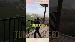 Tumbleweed Tornado shorts [upl. by Ateval]