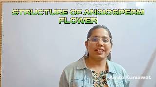 microspore and megaspore of angiospermsbiology neet 2024 neetaspirants amita kumawat [upl. by Anyek479]