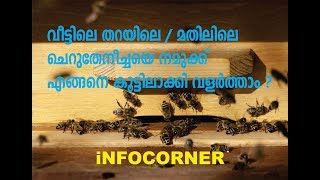 ApicultureBeekeeping theneecha valarthal MALAYALAM [upl. by Cyrano]