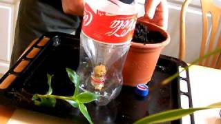 Water wicks for potted plants [upl. by Bardo65]