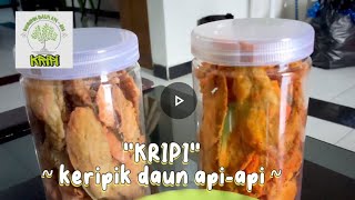 quotKRIPIquot  Keripik Daun Api  Api  oleh kelompok 7 MK Tekkel [upl. by Ydnes]