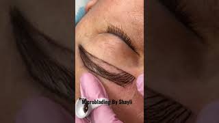 Learn Microblading step by step  Boldbrows [upl. by Zeta]