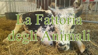 La Fattoria degli Animali [upl. by Art48]