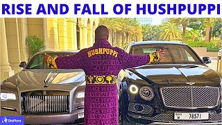 Everything You Need To Know About HUSHPUPPI  Background Source of Wealth  Arrest and More [upl. by Bomke149]