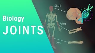 Joints  Physiology  Biology  FuseSchool [upl. by Amirak580]