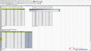 Excel 14  Dica de gráfico utilizando anos [upl. by Hettie]