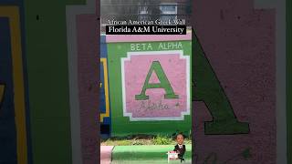 Importance of Greek Fraternities and Sororities  Legacy amp Lifelong Connections  Divine Nine amp NPHC [upl. by Tloh]