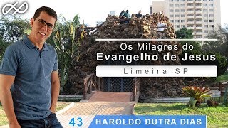 Haroldo Dutra Dias  Os Milagres do Evangelho de Jesus [upl. by Reldnahc558]