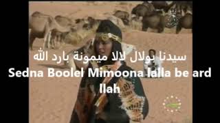 ALGERIA Goumari Aïcha LEBGAA Lyrics ENGLISHFrançais كلمات اغنية قوماري [upl. by Maryellen]