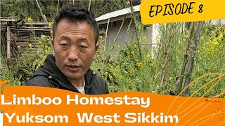 Yuksom Homestay  Limboo Homestay  Cheapest and best food in Yuksom Sikkim [upl. by Combe]