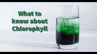 Chlorophyll What is it Is it Good For Your Health [upl. by Garceau]