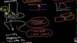 Oncologic Emergencies Hypercalcemia [upl. by Nitz694]