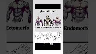 biotipo ectomorfo mesomorfo endomorfo gymmotivation gym calisthenics calistenia sigma [upl. by Carley872]