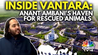 Inside Anant Ambanis Vantara  Reliance Foundations Animal Rescue amp Care Facility  N18V [upl. by Bendite]