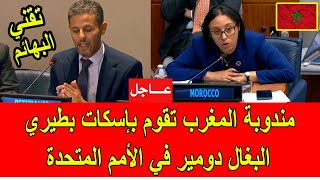 عاجل  مندوبة المغرب في الأمم المتحدة تقوم بإسكات تقني البهائم الجزائري دومير [upl. by Auston287]