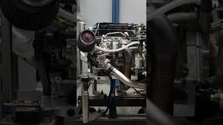 Type R Engine Dyno K20C1 4piston 4pistonracing [upl. by Niad]