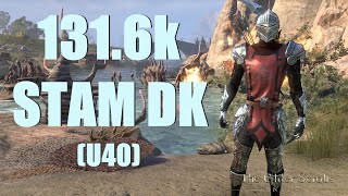 ESO  Stamina Dragonknight 1316k PvE DPS Build  Endless Archive U40 [upl. by Rellek]