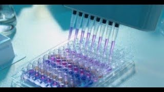 Test ELISA [upl. by Gascony]