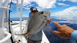 You Wont Believe What This Fish Did Jolthead Porgy amp Hard Clams Catch Clean and Cook [upl. by Maryl]