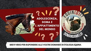 Equindi Domandamelo Doma del cavallo adolescenza e lappiattimento del mondo  Etologia Equina [upl. by Sirac]