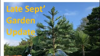 Late September Exotic Garden Update [upl. by Anerbes484]