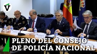 Marlaska afirma ante Policía Nacional que no transferirá Extranjería a Cataluña [upl. by Eniamrehc129]