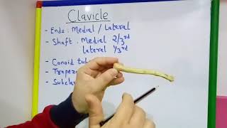 CLAVICLE GENERAL FEATURES AND ATTACHMENTS BY DR MITESH DAVE [upl. by Sessylu]