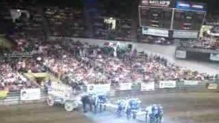 Midwest Horse Fair 2008 Texas Thunder Part one [upl. by Inaluahek478]