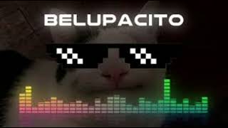 Beluga  Belupacito Epic Version [upl. by Adiasteb]