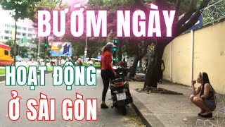 Bướm ngày Hoạt Động bắt khách í Ới ở Sài Gòn 3 Xị 1 Nháy E Bao Phòng  Sài Gòn Vlog [upl. by Atteselrahc]