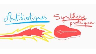 🔴 ANTIBIOTIQUES CONTRE LA SYNTHESE PROTEIQUE EN 10 MIN   DR ASTUCE [upl. by Ahsineb]