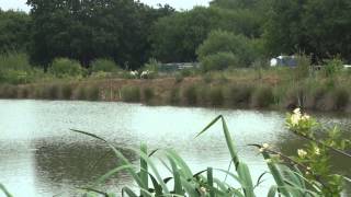 MOUSEHOLE LAKES NETTLESTEAD PADDOCK WOOD KENT ANGLERS MAIL TACTICAL BRIEFINGS [upl. by Gaynor52]