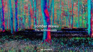 Somber Waves LetraLyrics  Whitewoods [upl. by Haizek]