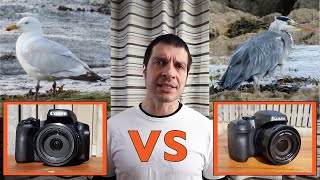 Canon PowerShot SX70 HS vs Panasonic Lumix FZ80FZ82 [upl. by Meerek815]